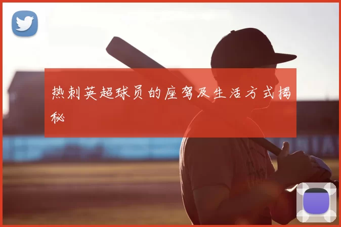 热刺英超球员的座驾及生活方式揭秘