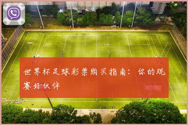 世界杯足球彩票购买指南：你的观赛好伙伴