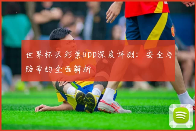世界杯买彩票app深度评测：安全与赔率的全面解析
