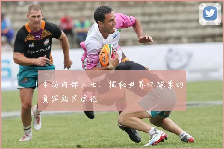 专访内部人士：揭秘世界杯球票的真实购买途径