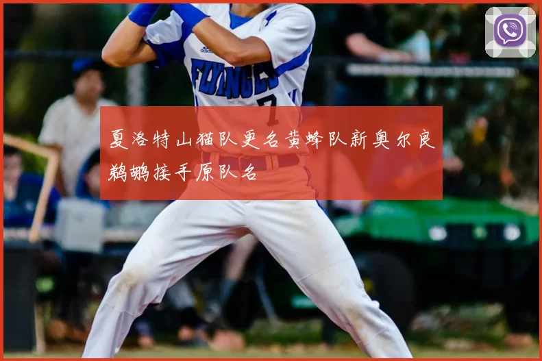夏洛特山猫队更名黄蜂队新奥尔良鹈鹕接手原队名