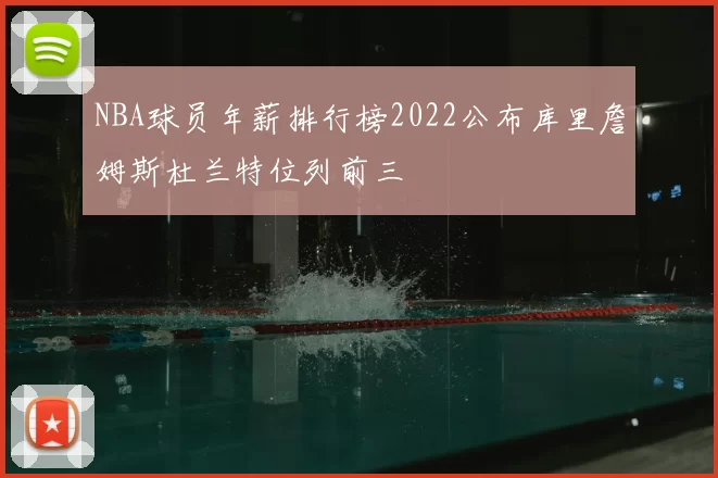 NBA球员年薪排行榜2022公布库里詹姆斯杜兰特位列前三