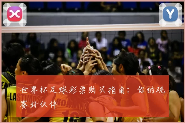 世界杯足球彩票购买指南:你的观赛好伙伴