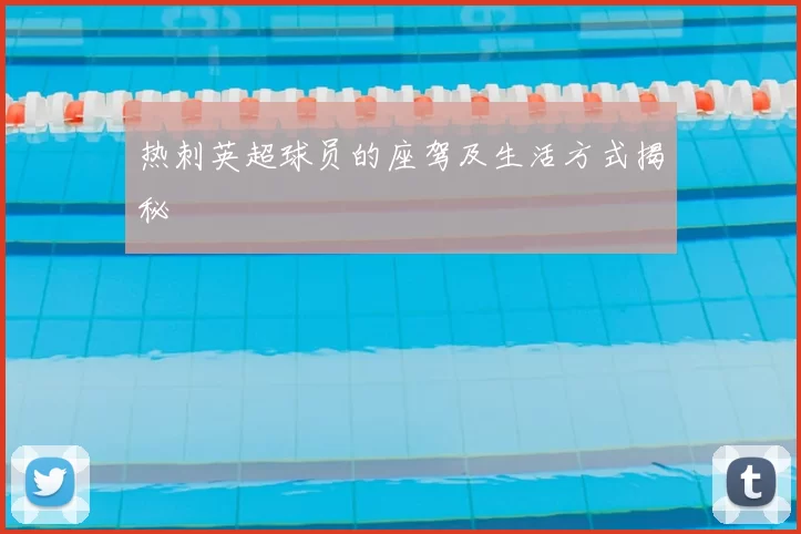 热刺英超球员的座驾及生活方式揭秘