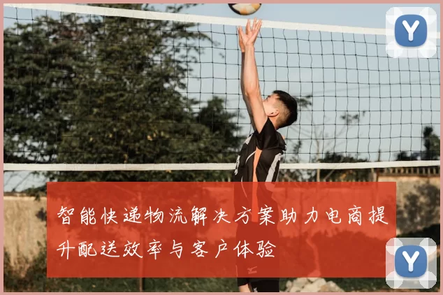 智能快递物流解决方案助力电商提升配送效率与客户体验