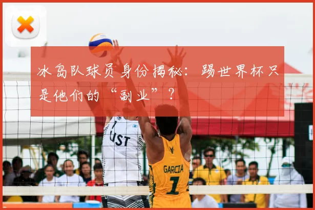 冰岛队球员身份揭秘：踢世界杯只是他们的“副业”？