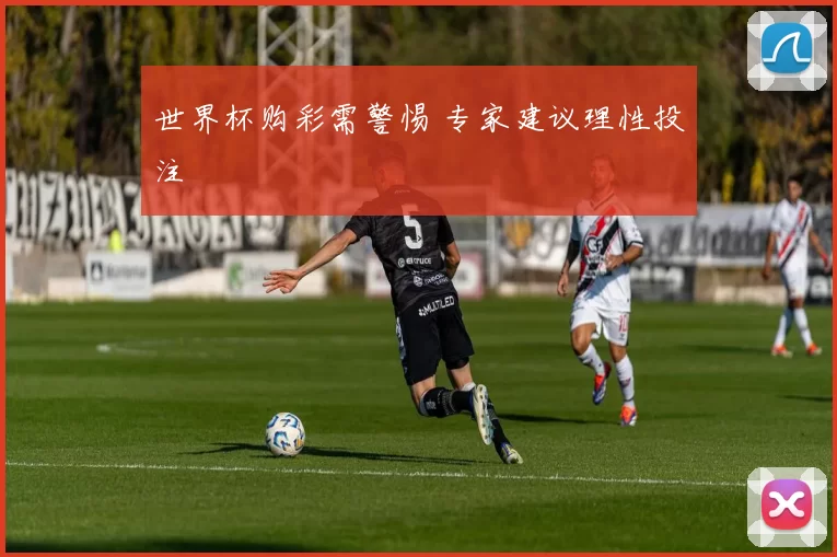 世界杯购彩需警惕 专家建议理性投注