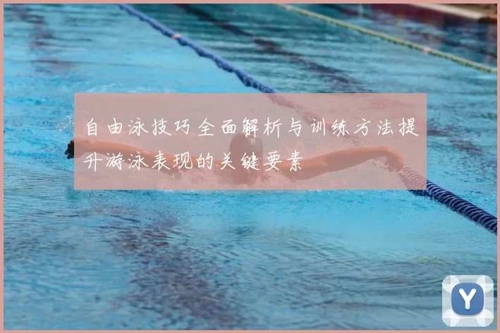 自由泳技巧全面解析与训练方法提升游泳表现的关键要素