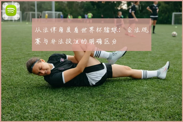 从法律角度看世界杯赌球:合法观赛与非法投注的明确区分