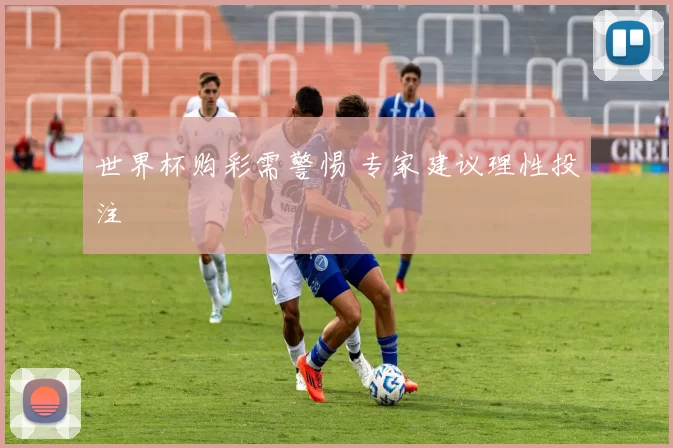 世界杯购彩需警惕 专家建议理性投注