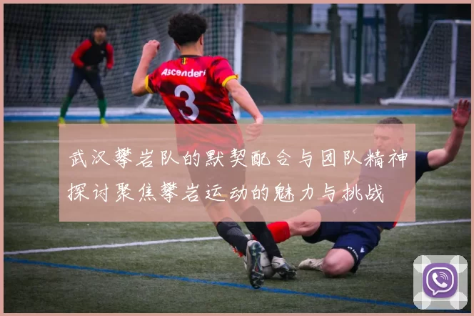 武汉攀岩队的默契配合与团队精神探讨聚焦攀岩运动的魅力与挑战