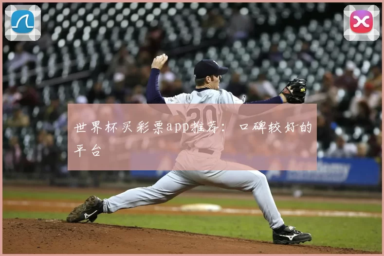 世界杯买彩票app推荐:口碑较好的平台