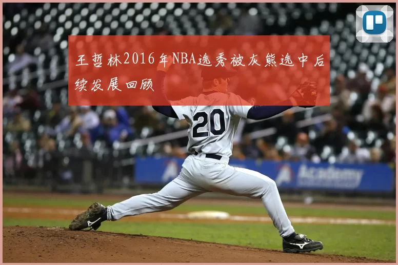 王哲林2016年NBA选秀被灰熊选中后续发展回顾