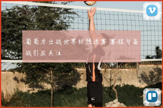葡萄牙出战世界杯预选赛 赛程与备战引发关注