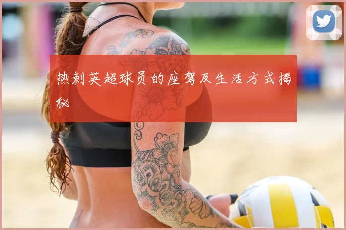 热刺英超球员的座驾及生活方式揭秘