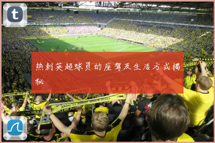 热刺英超球员的座驾及生活方式揭秘