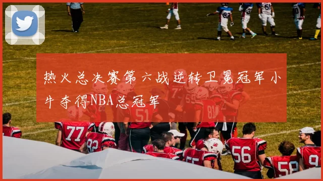 热火总决赛第六战逆转卫冕冠军小牛夺得NBA总冠军